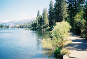 The shore at Hume Lake California